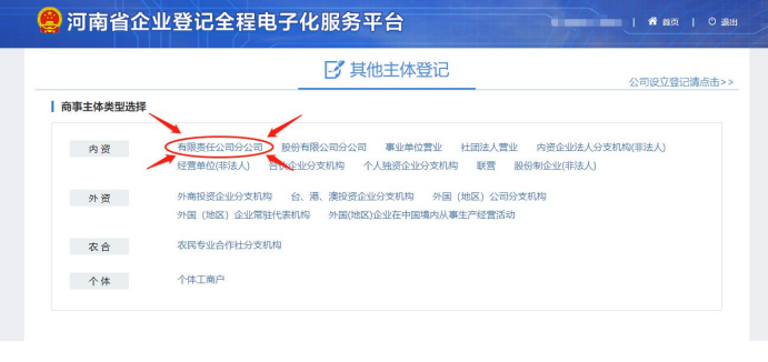 (河南省注冊分公司流程辦理選擇有限責任分公司注冊