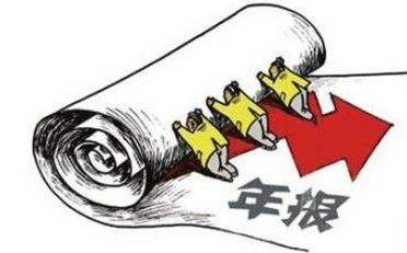 第二類增值電信業(yè)務(wù)許可證年報(bào)怎么填？